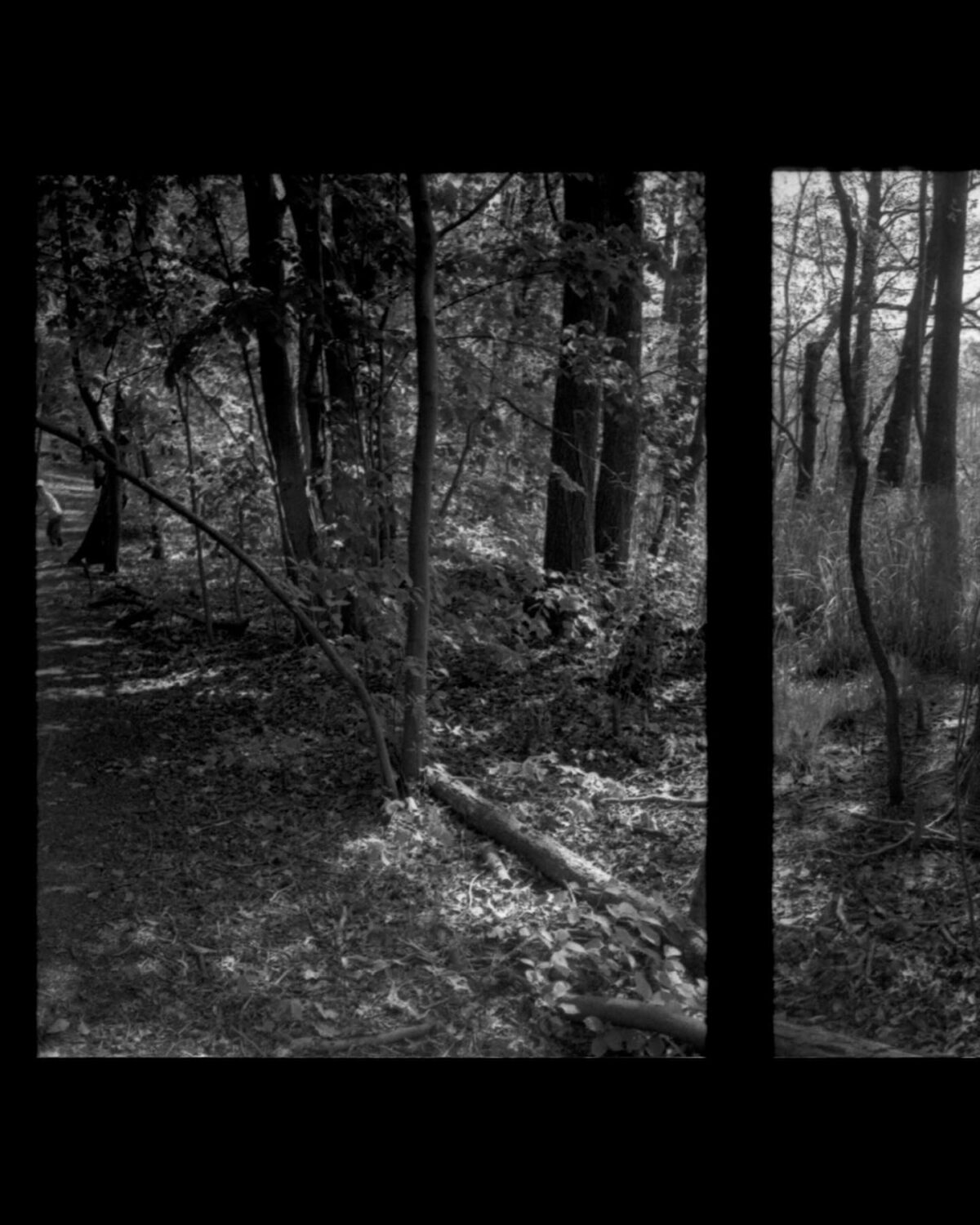 i know it’s only half-frame panorama but i like it