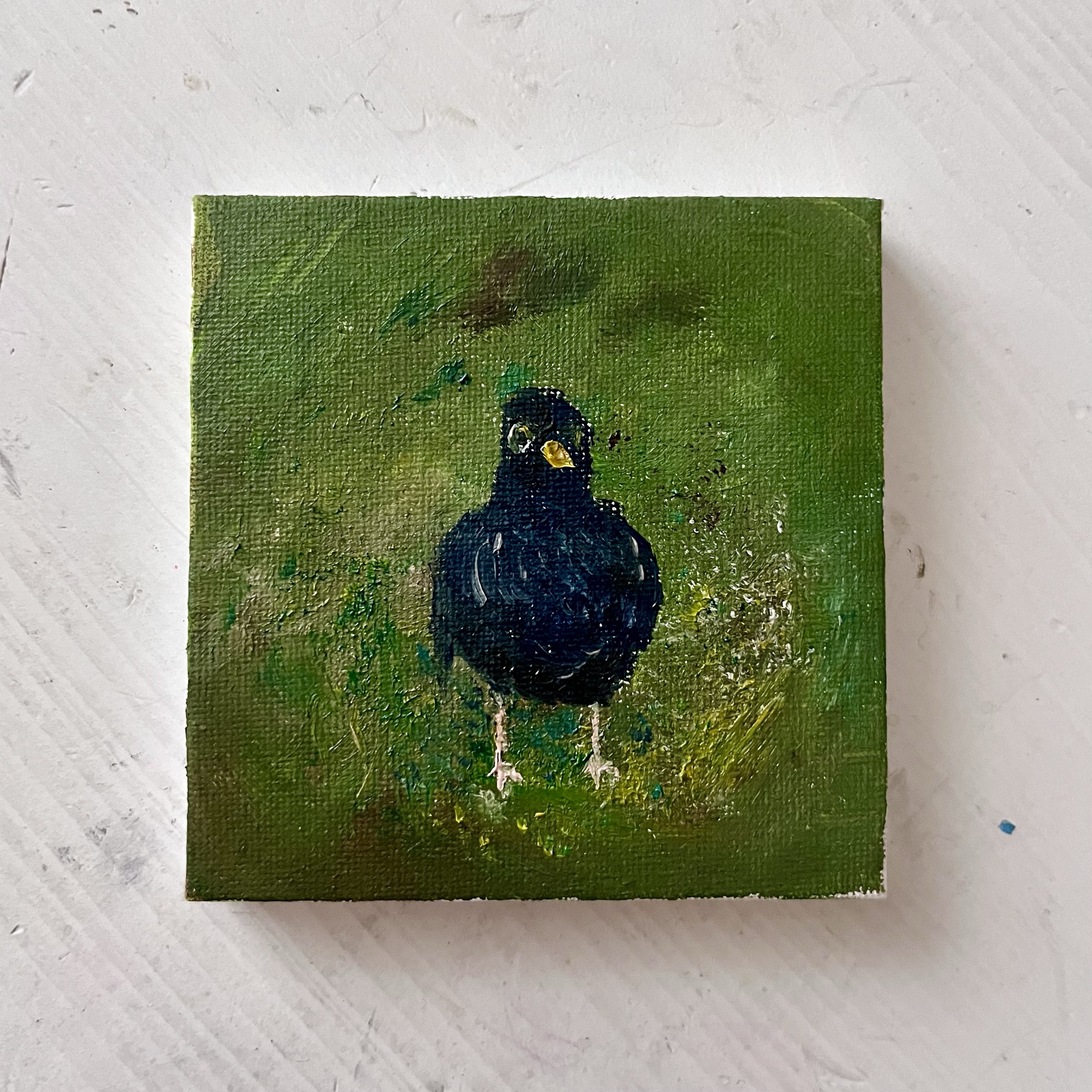 bird on canvas