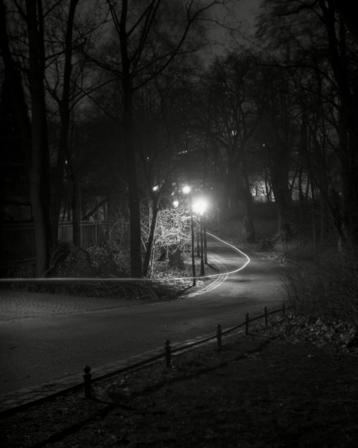 in the cold cold night