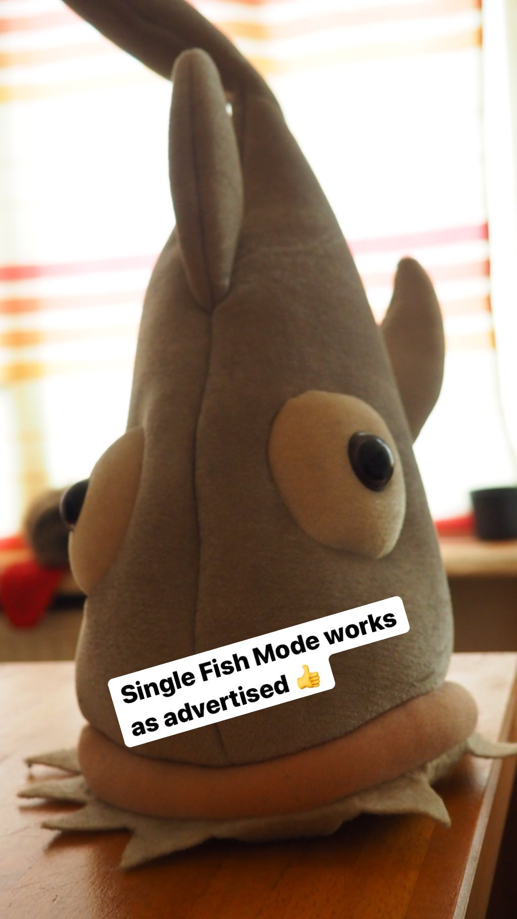 Single Fish