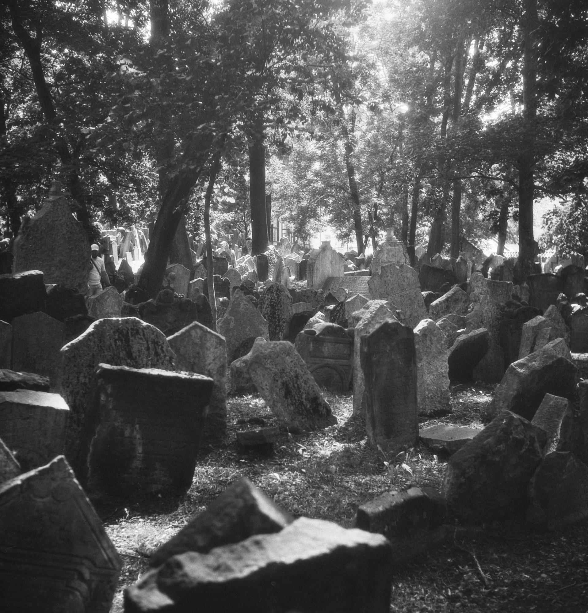 old jewish cemetery