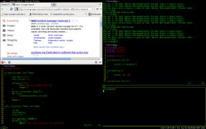 screenshot, showing my desktop (wmii, 4 xterms, Firefox)