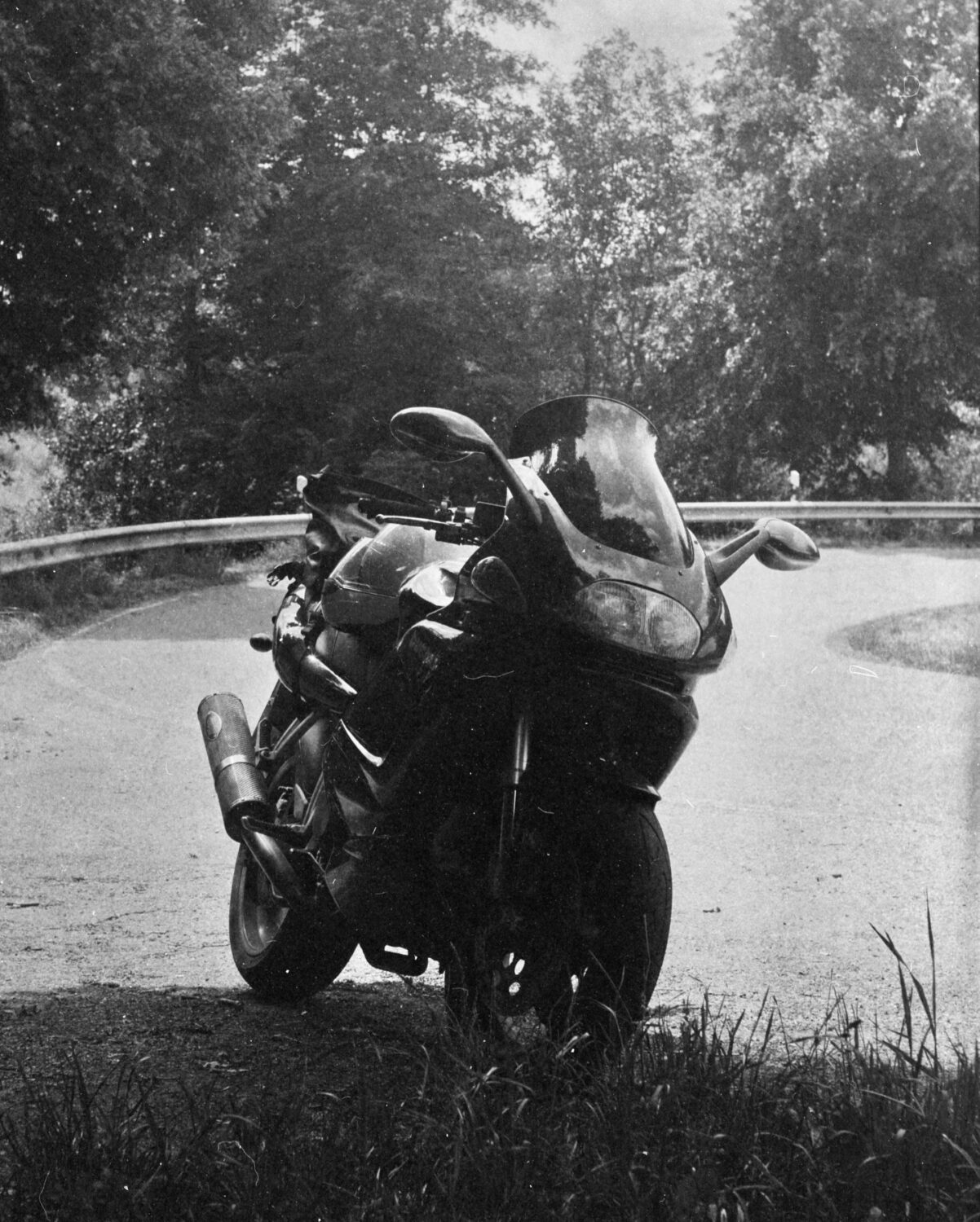 summer snapshots 2