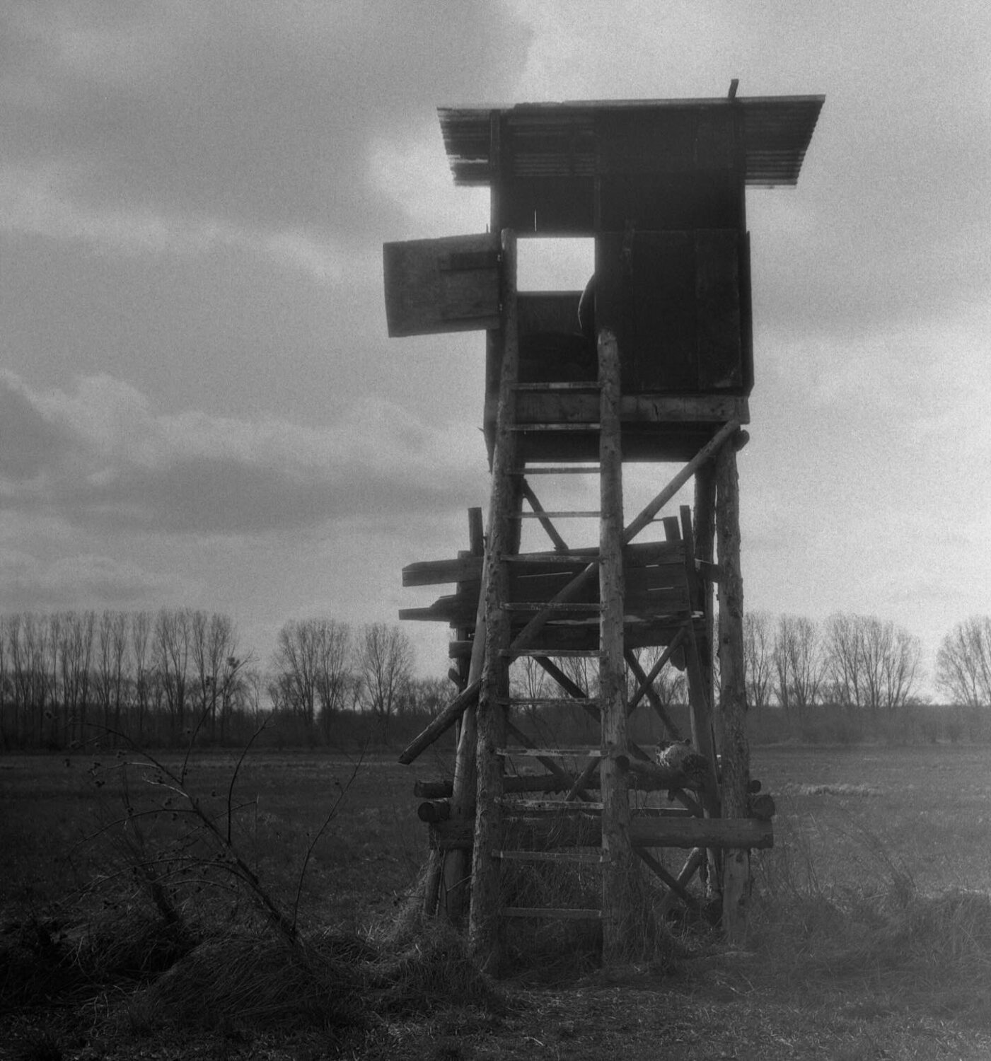 work from hochsitz